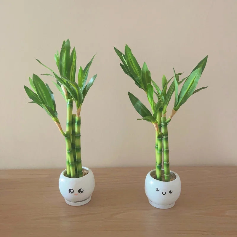 Artificial plants green lucky bamboo fake bonsai horticulture outdoor living room table aesthetic space wedding home decoration