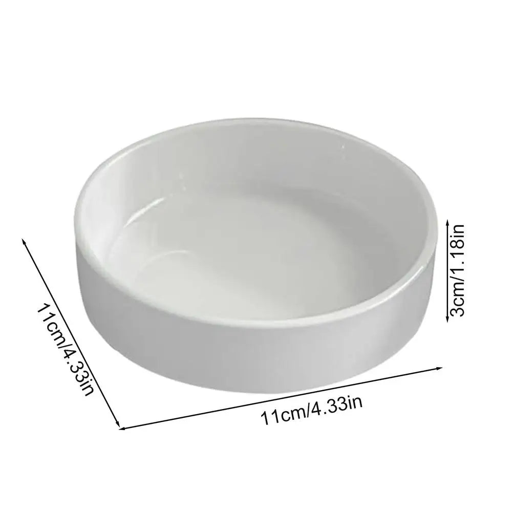 Brazilian Wood Plant Tray Holder for Purifying Indoor Air Hydroponic Wood Tree Bamboo plastic Bottom Tray for Desktop Decoration