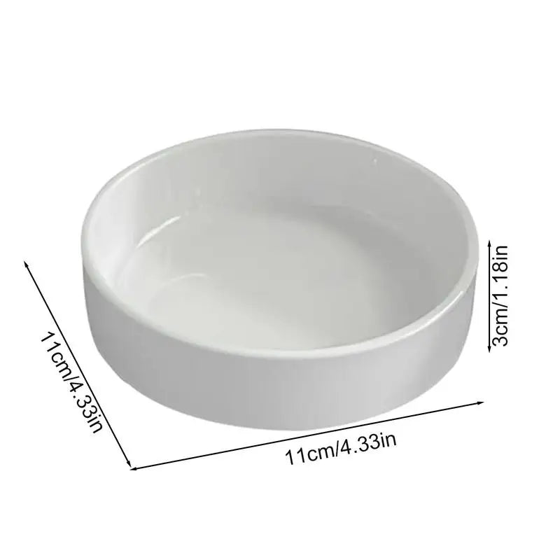 Brazilian Wood Plant Tray Holder for Purifying Indoor Air Hydroponic Wood Tree Bamboo plastic Bottom Tray for Desktop Decoration